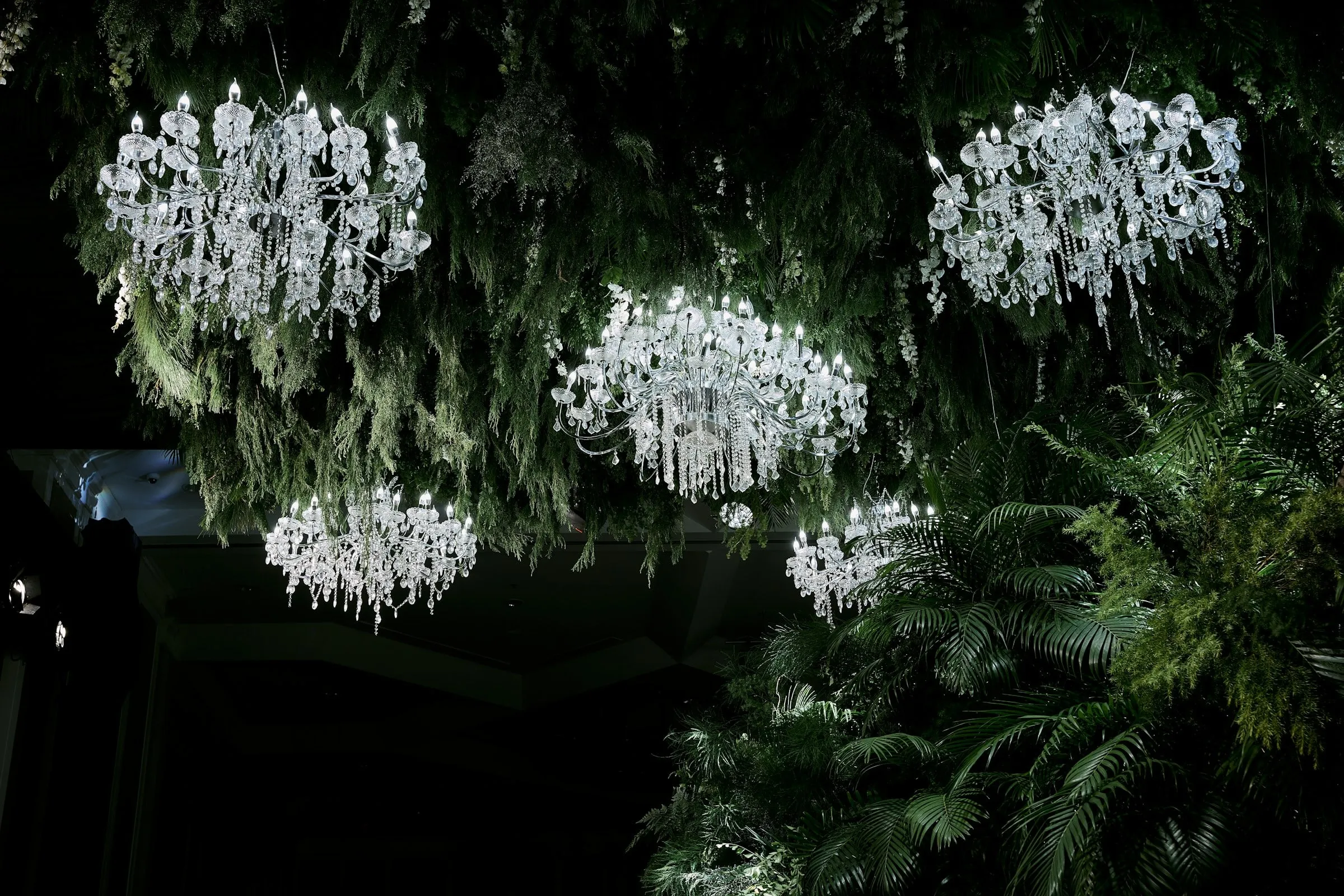 Lustres de fleurs blanches suspendus dans la nuit